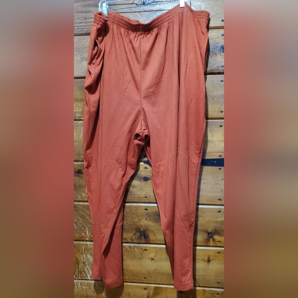 Rust Orange Pants- Petite